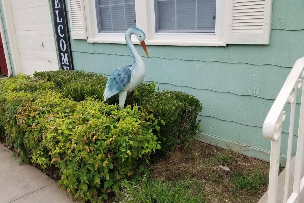 Blue Flamingo'S Charming Home-Heart Of Tulsa2- Cherry St-Expo-11Th 외부 사진